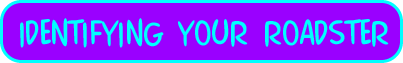Page Title:  IDENTIFYING YOUR ROADSTER